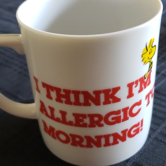 Snoopy and Woodstock Coffee Mugs. - Picture 4 of 8